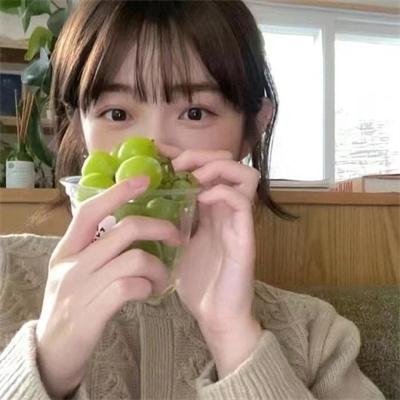 飞鱼封面